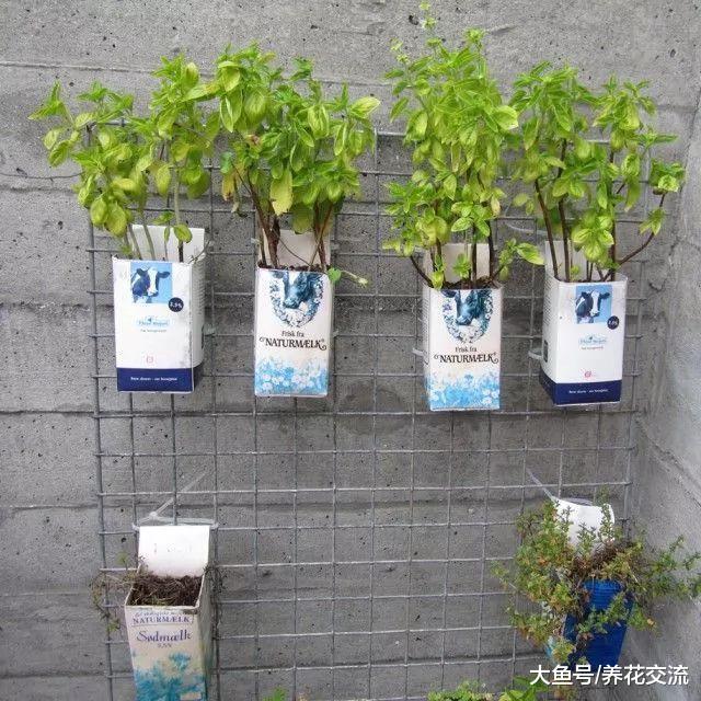 废弃的容器变成实用的养花利器, 5种节俭的园艺技巧