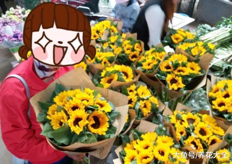 买花的时候记住这几点, 就不怕被店主坑了!