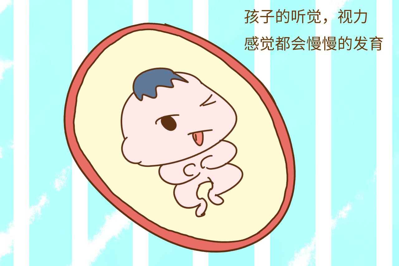 为什么胎动时, 爸爸一摸立马安静了, 胎宝知道不是妈妈吗?