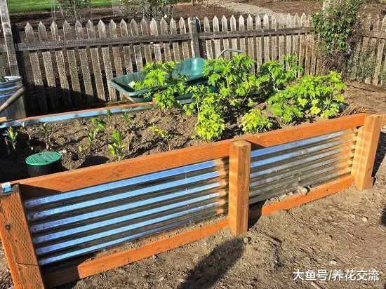 9个用捡来的废弃铁容器制作的植物景观, 变成家里独特的盆栽