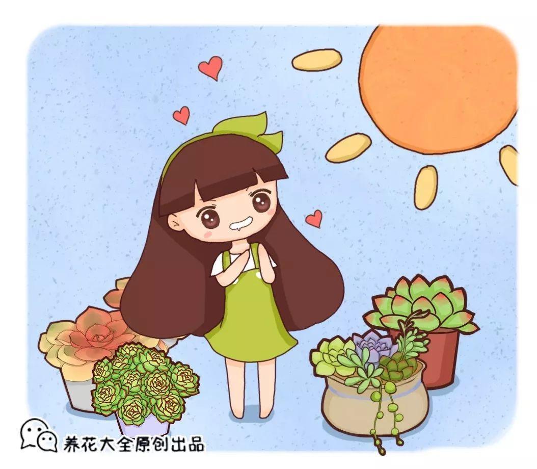 拇指大的花盆, 被她塞了几十棵多肉, 养一年都不是事!