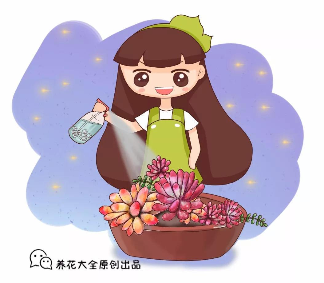多肉也要贴秋膘, 盆里埋点料, 一个月胖成球!
