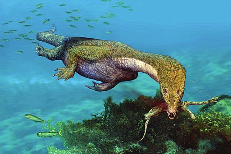 45亿年来, 最大型的海底生物有哪些?