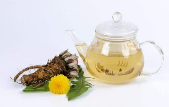 “药草皇后”蒲公英, 有哪些功效和作用、哪些人不能吃、该怎么吃