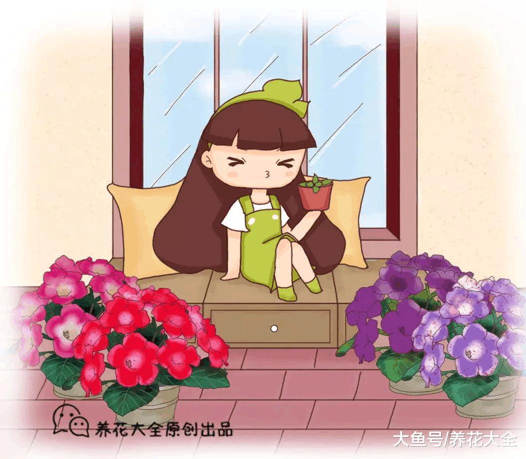 扦插老不生根? 试试这6招, 1盆变10盆, 家里多的放不下!