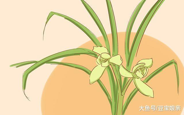 孕妇屋里养这3种植物, 对胎儿大有益处, 没有的赶紧买一盆去