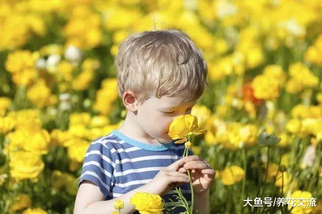 有小孩在家里应该养哪些花卉, 什么花是不适合养的?
