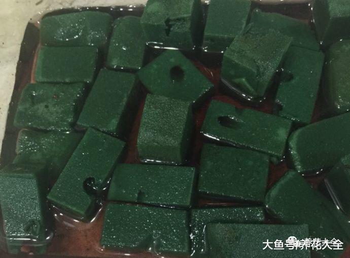 这5种花别在花钱买了, 学会扦插, 一盆变多盆!