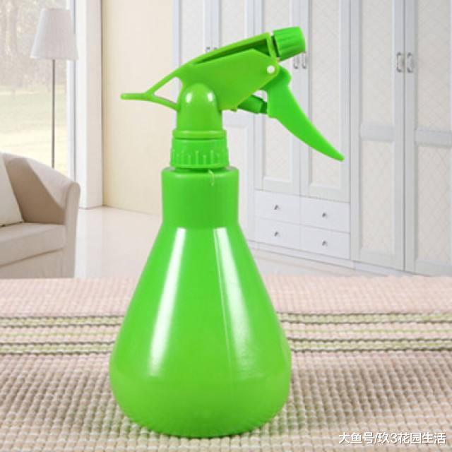 种植多肉植物需要用到哪些工具