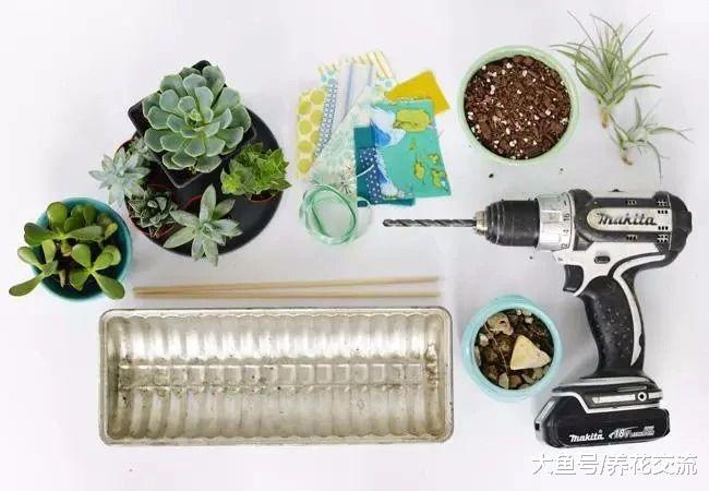 秋初可以用这些废弃的材料自制一个多肉植物小花园