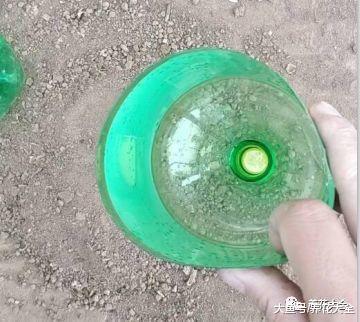 用完的瓶子千万别扔, 简单一加工, 就是养花的宝贝!