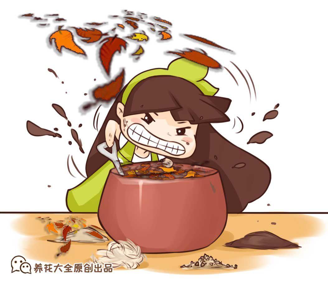 路边捡点它, 开水一烫扔盆里, 养花10年不烂根!