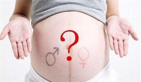 2019年清宫图表, 备孕猪宝宝朋友看看吧!