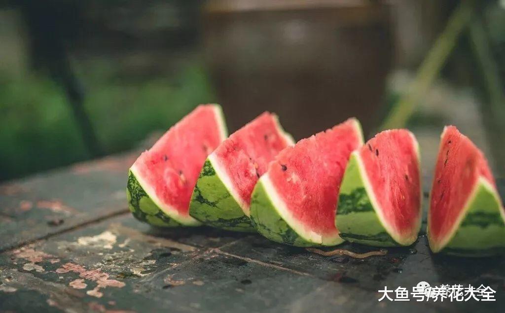 喜欢吃西瓜? 教你一招, 又大又甜的买回家!