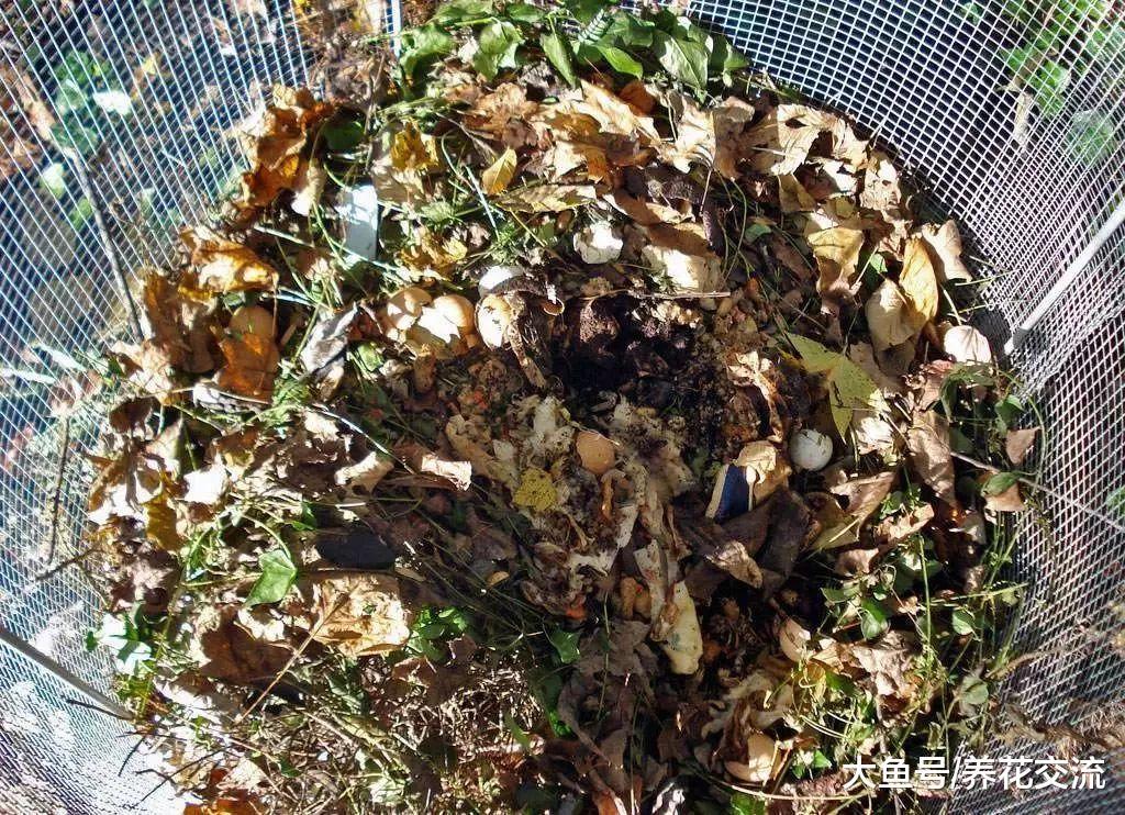 得到完美堆肥的七个秘诀, 在院子用生活废料就能制作出肥土