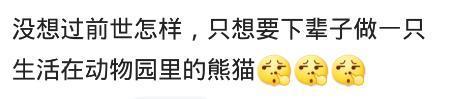你相信有前世吗? 你的前世是做什么的? 网友: 每次困难就出现贵人