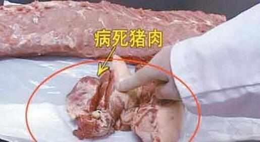 买猪肉时一定要检查, 不要买这种猪肉, 会导致我们的生命危险