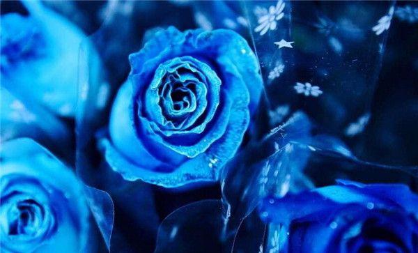 收藏这十句话, 给自己提个醒