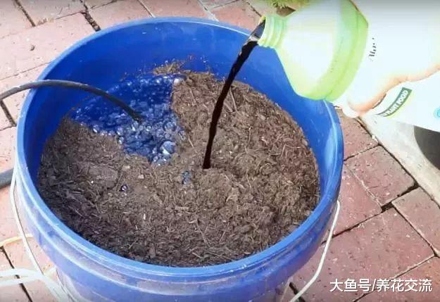 用这种方法就能将堆肥土制作成有机液肥, 就不用化学肥料了