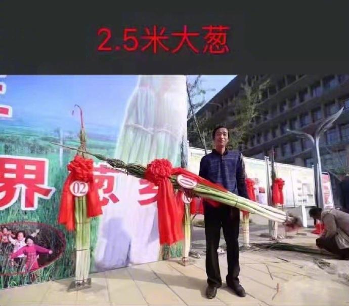 再有人敢说你算哪根葱，告诉他：