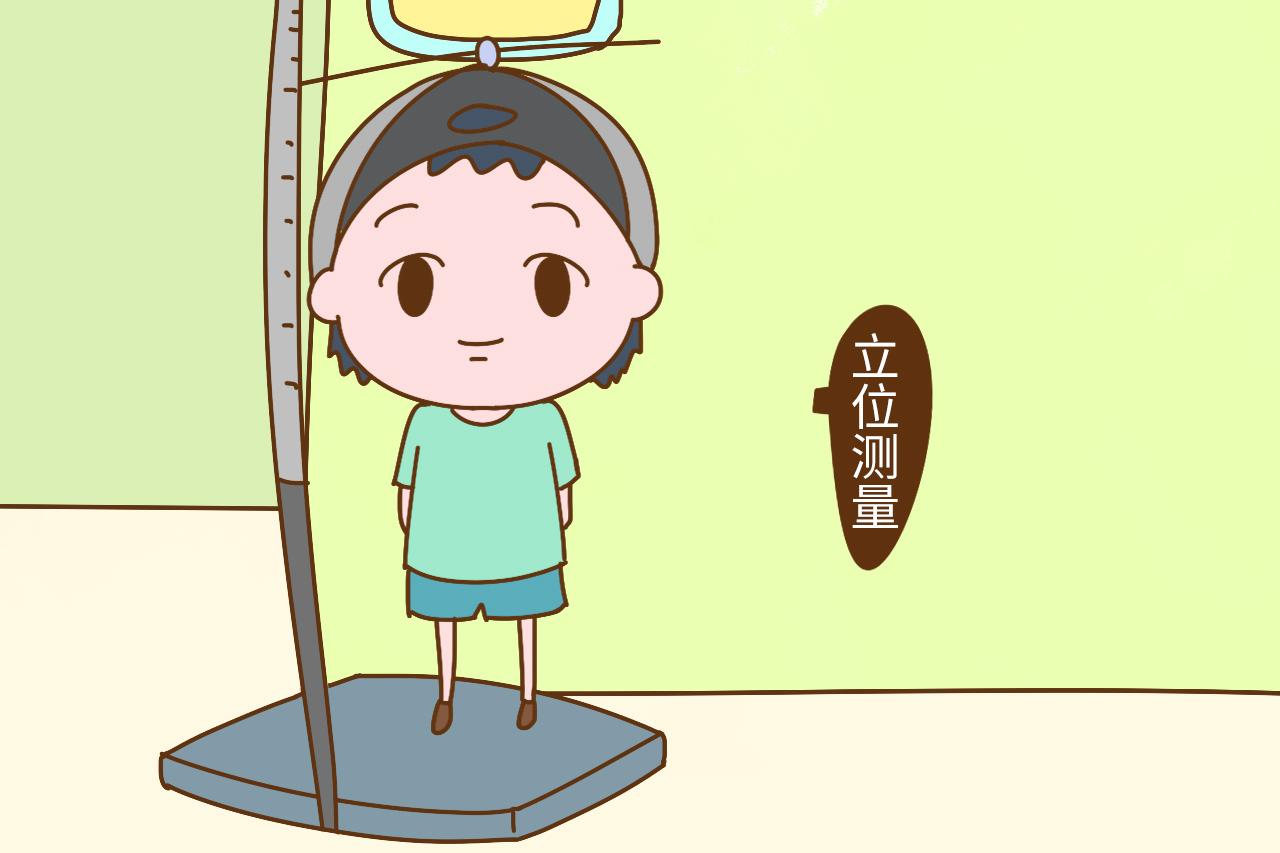 总和别人家孩子比身高? 不会画这个图才是耽误娃生长发育