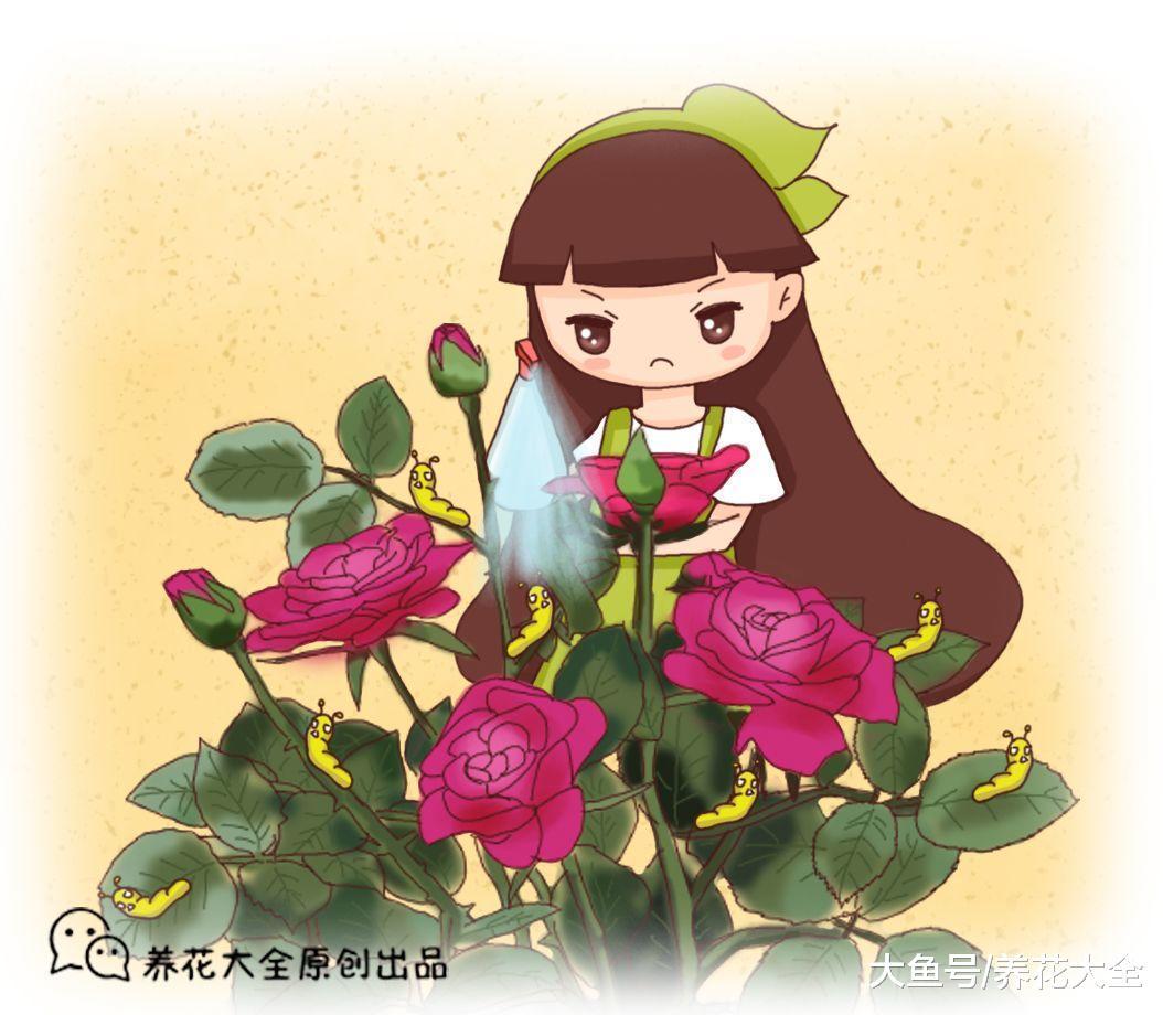 浇花水里兑点它, 虫子全死光, 花蹭蹭疯长!
