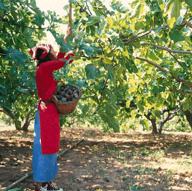 霜降后, 女人多吃这些天然食物, 助你肤色好、显年轻、远离小肚腩