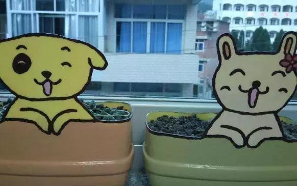 用完的洗洁精桶先别扔, 找块布包一包, 秒变超萌小花盆!