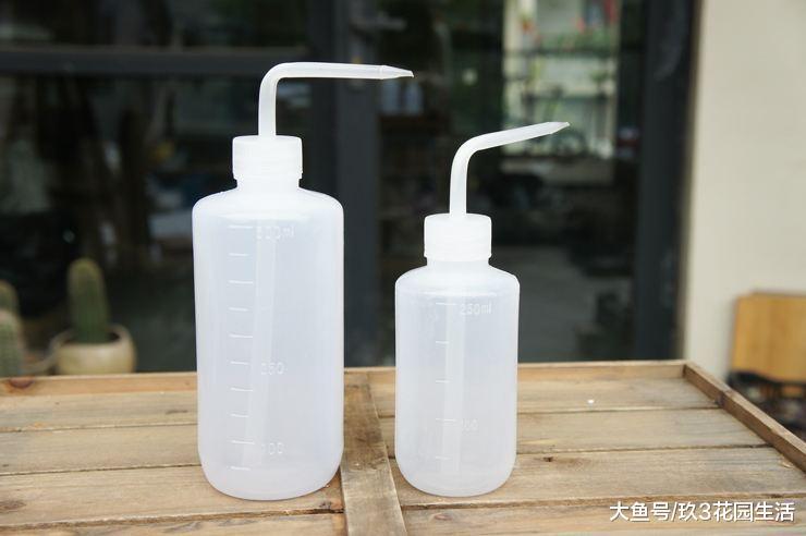 种植多肉植物需要用到哪些工具