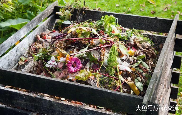 自制堆肥最常见的6个错误, 学会自己制作有机肥料的简单技巧