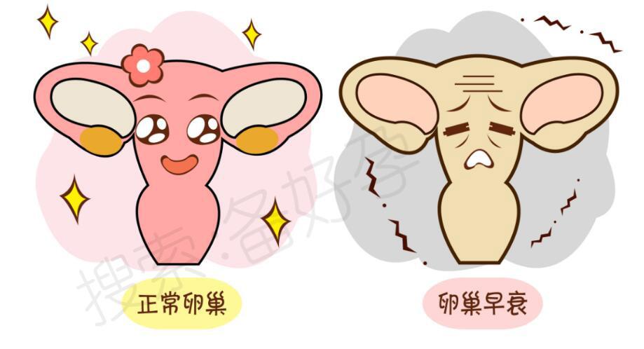 经历一次流产等于卵巢衰老十年, 如何科学保养卵巢?