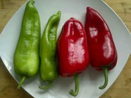 在家腌黄瓜, 这样一甩干, 清爽可口又解暑!