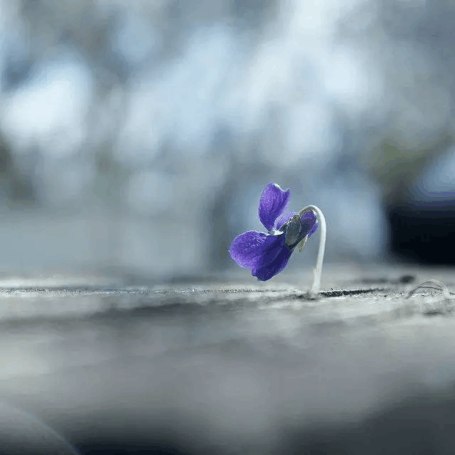 朋友圈里, 睡前才发的晚安句子