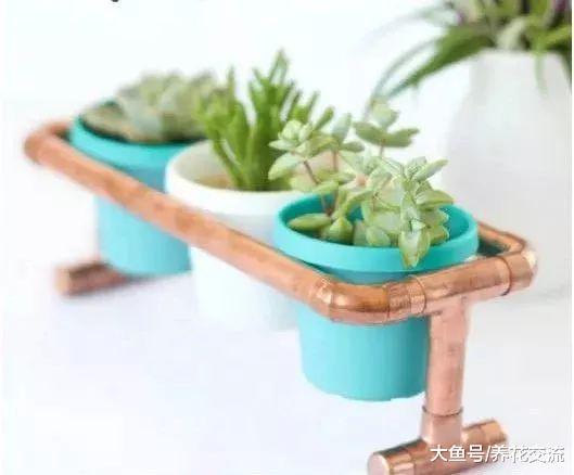 特别容易制作的几种DIY室外植物景观, 你喜欢哪种风格?