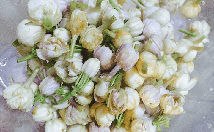 这“5种”花最养人, 家里种1棵, 全家老小都健康!