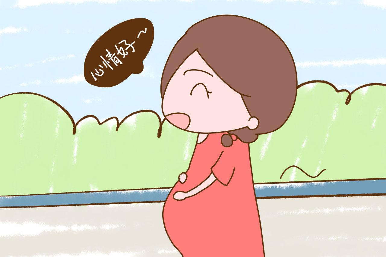 孕期这些知识虽冷门却实用, 不想胎儿“受伤”, 孕妈还是长点心