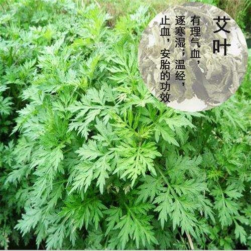 睡前泡脚撒一把这个, 十年湿气全无, 肚子也平了!