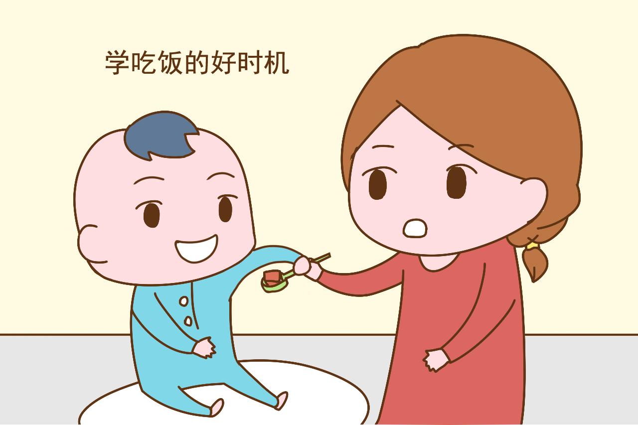宝宝到了这个年龄段, 是学吃饭的好时机, 错过只能追着喂