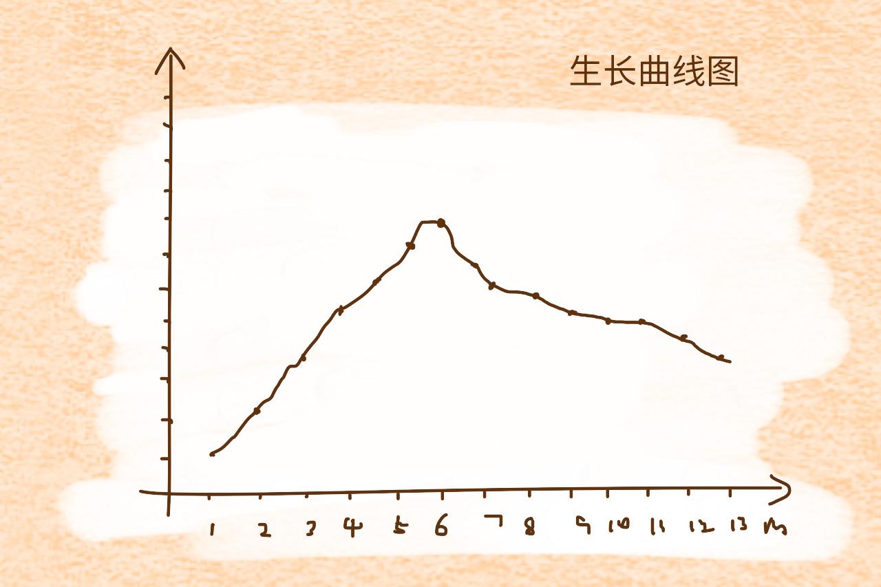 总和别人家孩子比身高? 不会画这个图才是耽误娃生长发育