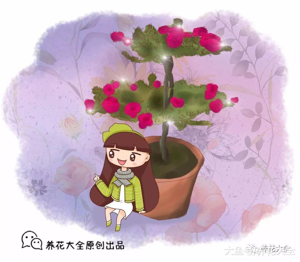 这5种花, 半个月不浇水就成老桩, 太美!