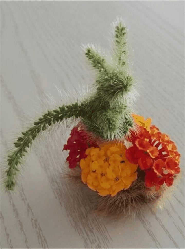 狗尾巴草的兔子, 红薯叶的项链, 这是属于童年的记忆!