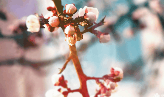 藏在我心的最底层的十句话, 对你没用!