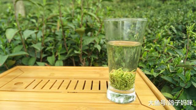 茶万病之药, 每天喝3杯, 治病又延寿