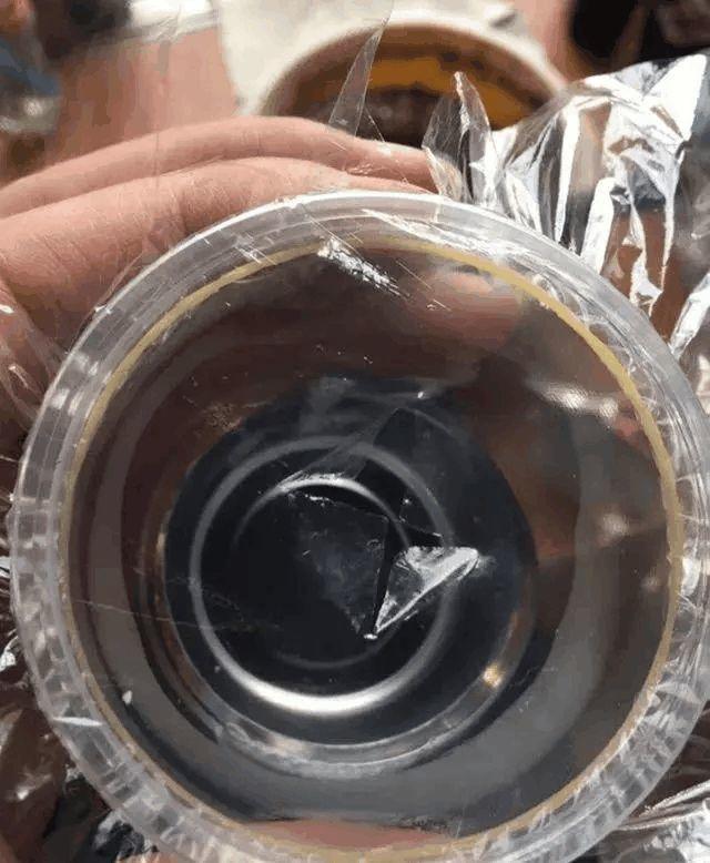 砍完头的多肉, 教你用根橡皮筋, 10天就能长满盆!