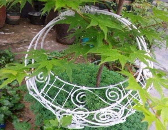 多肉度夏神器, 几根铁丝就搞定, 连花盆都省了!