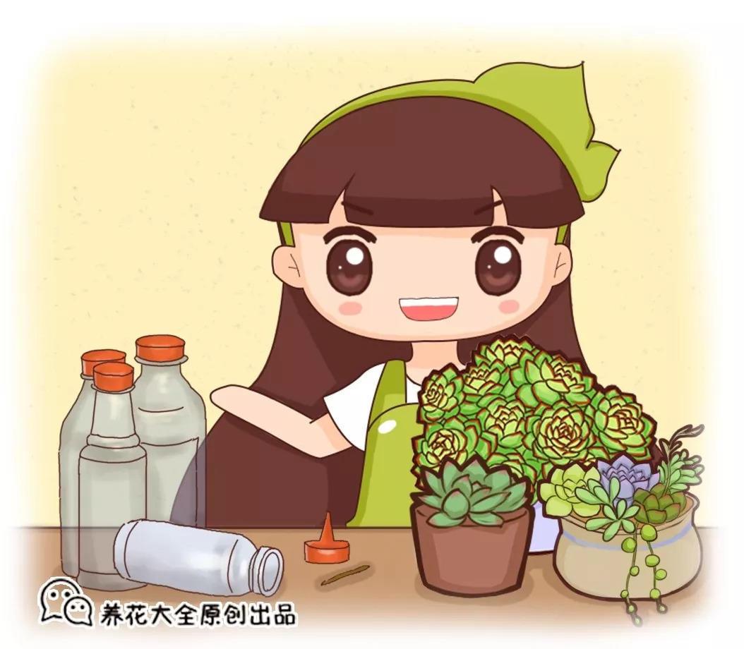 鸡蛋盒切一刀, 雨伞戳盆里, 花儿蹭蹭往上蹿, 破烂变神器!
