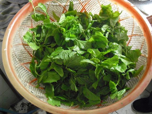 拔火罐能祛湿吗? 掌握简单2招祛湿, 这一类人想胖都胖不起来