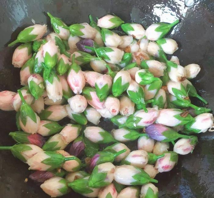 木槿花开了, 还有一股鸡肉味儿, 不这样吃可惜了!