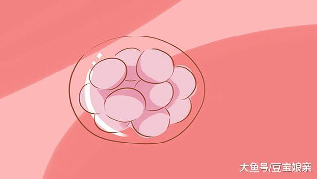 葡萄胎的孕妇数量突增, 这和二胎妈妈增多有关系
