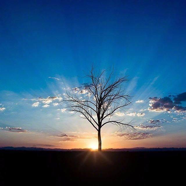 大多数时候, 你需要这正能量的十句话!